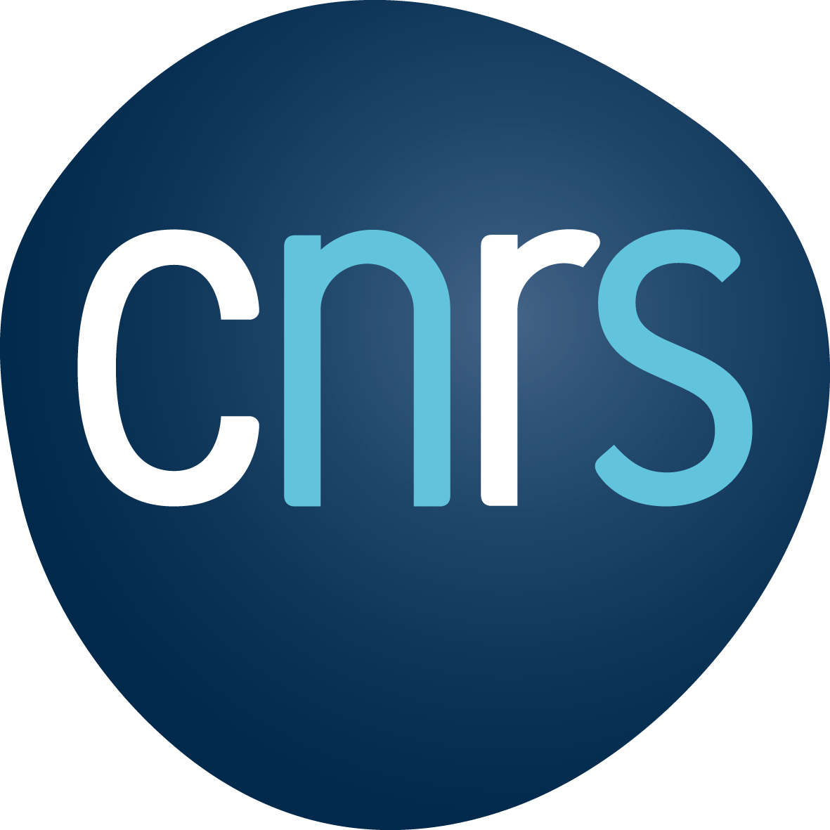 CNRS_2019_RVB