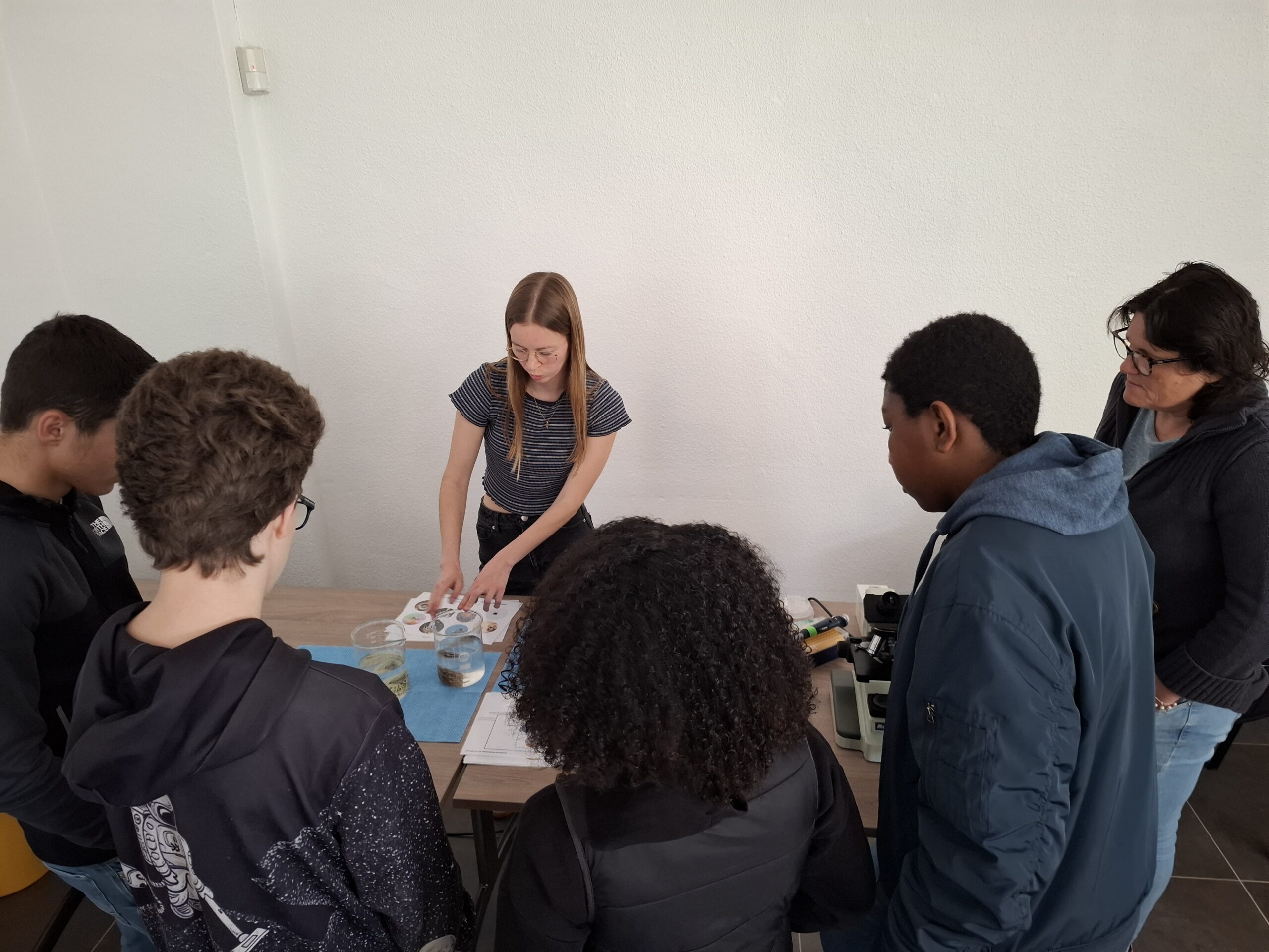 lycée magnan activité